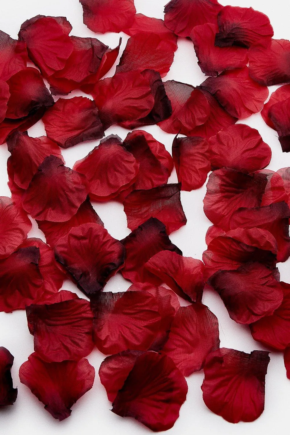 Rose Petals | Karen Millen